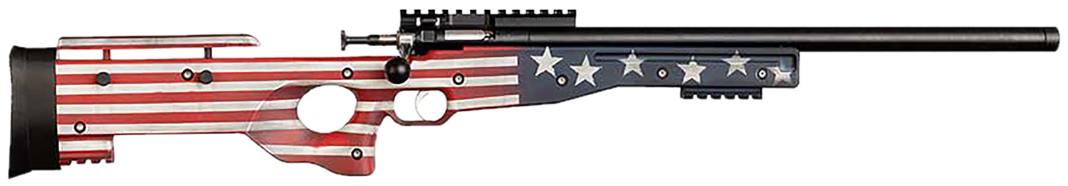 Keystone Sporting Arms Crickett Precision Rifle