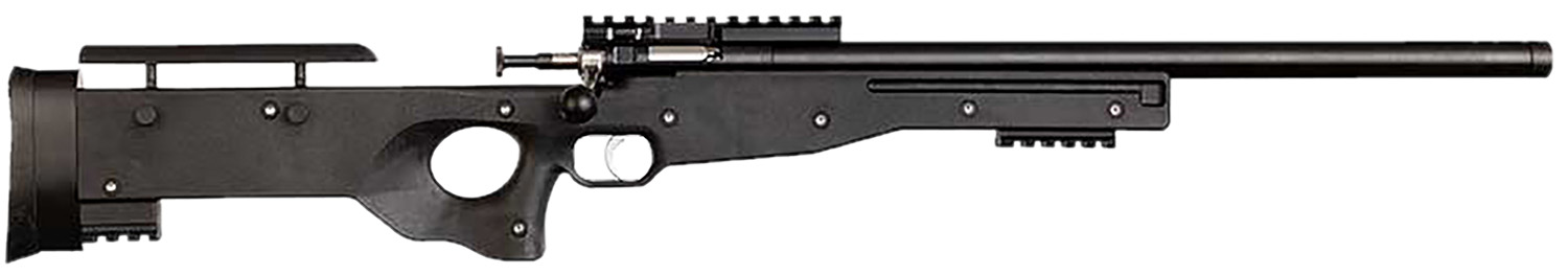 Keystone Sporting Arms Crickett Precision Rifle