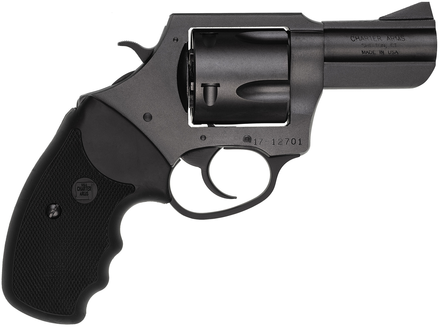 Charter Arms Pitbull