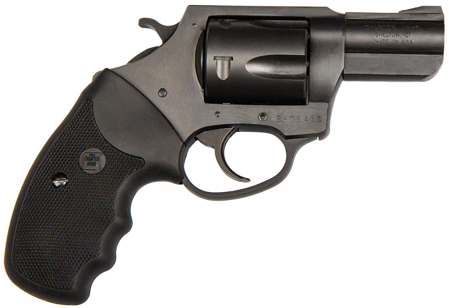 Charter Arms Pitbull