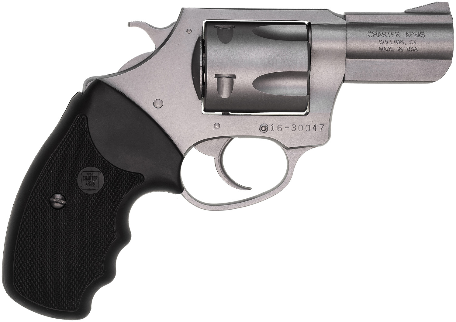 Charter Arms Pitbull