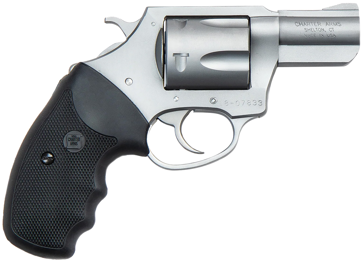Charter Arms Pitbull