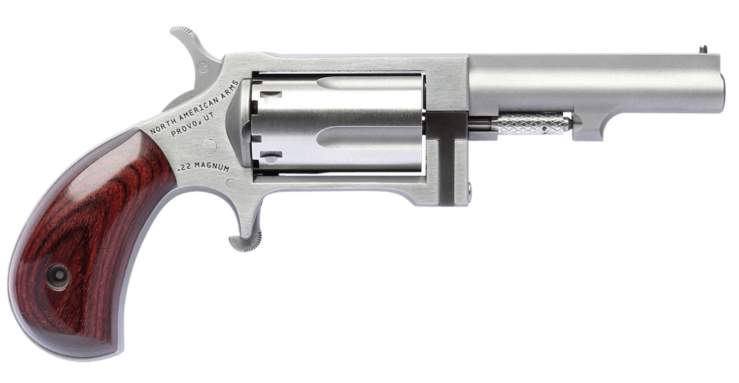 North American Arms Sidewinder