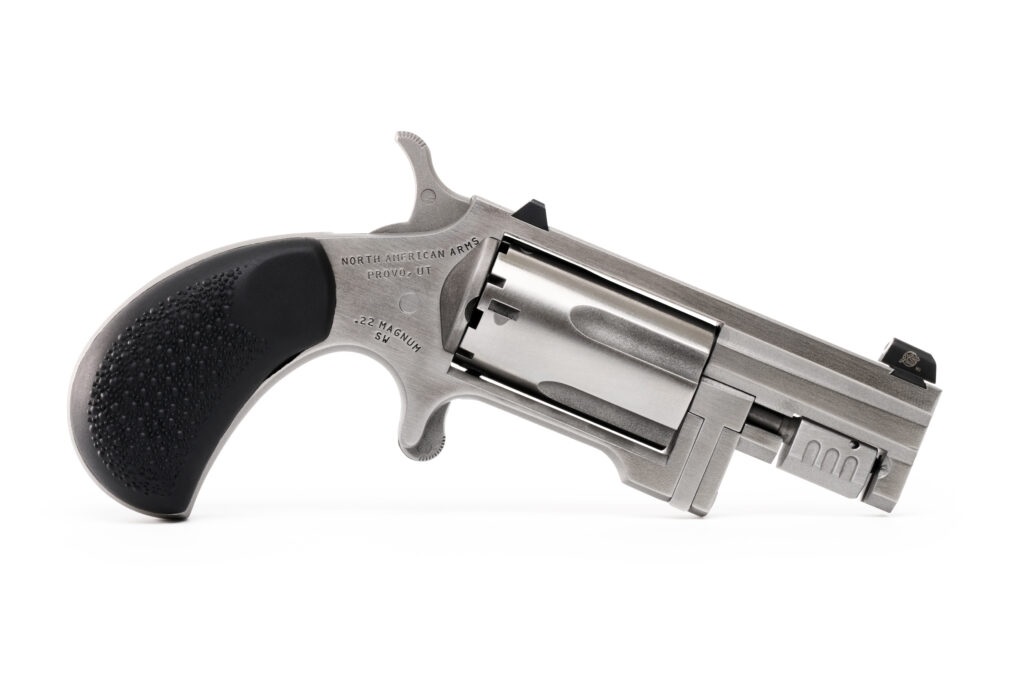 North American Arms Sentinel